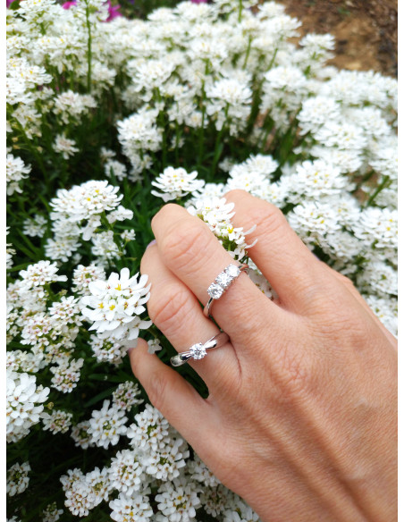 Trilogy damiani prezzo hotsell