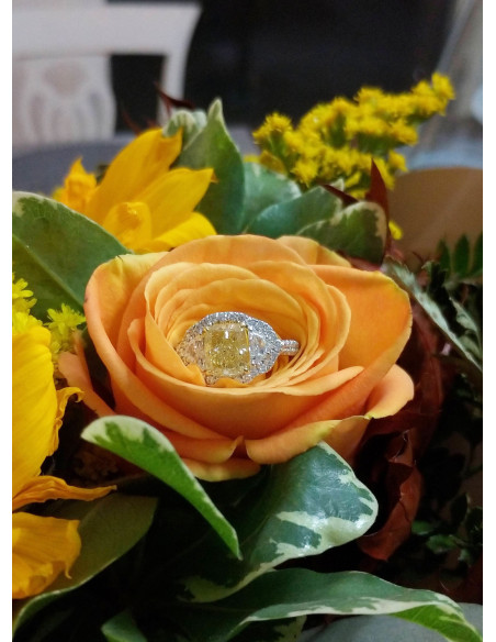 Crivelli Diamonds Collection ring in white gold, 2.00 ct fancy diamond yellow color and 0.88 ct diamonds